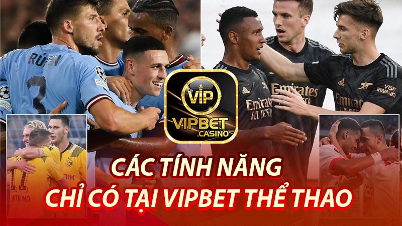 Các tính năng chỉ có tại Vipbet thể thao
