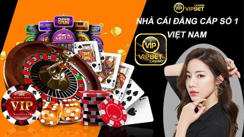 Giới thiệu về liên hệ Vipbet