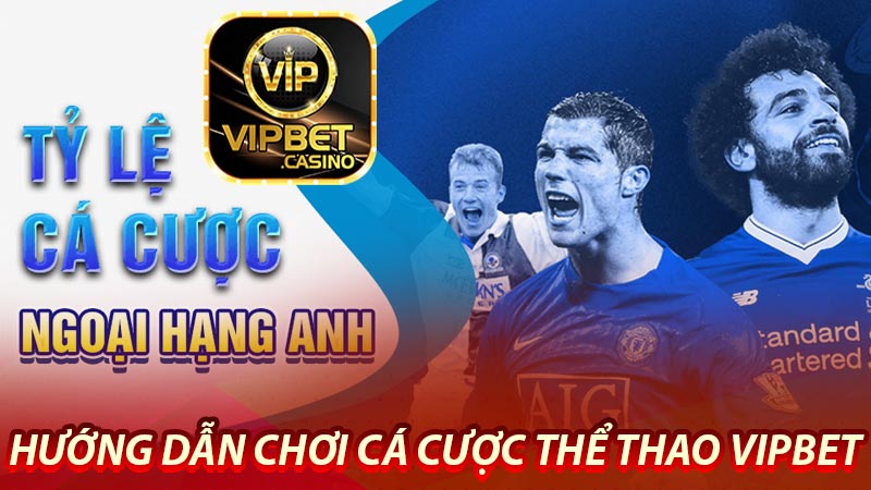 Hướng dẫn chơi cá cược thể thao Vipbet