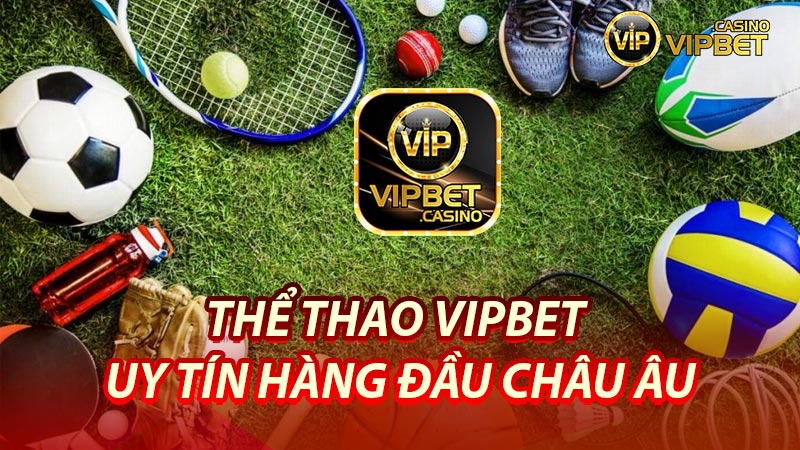 Tại Thể thao Vipbet có những loại hình nào hấp dẫn?