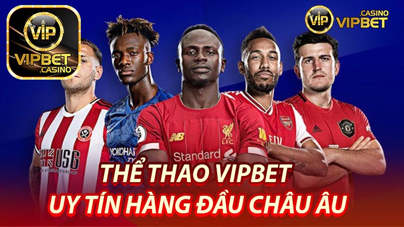 Thể thao Vipbet là gì?