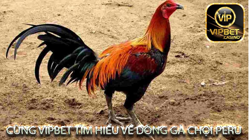 Phân tích những cú ra đòn xuất thần