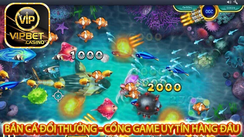 Tỷ lệ ăn thưởng cực kỳ cao