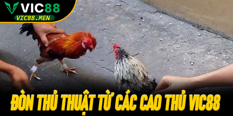 Đòn Thủ Thuật Từ Các Cao Thủ Vic88