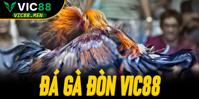 Đá Gà Đòn Vic88