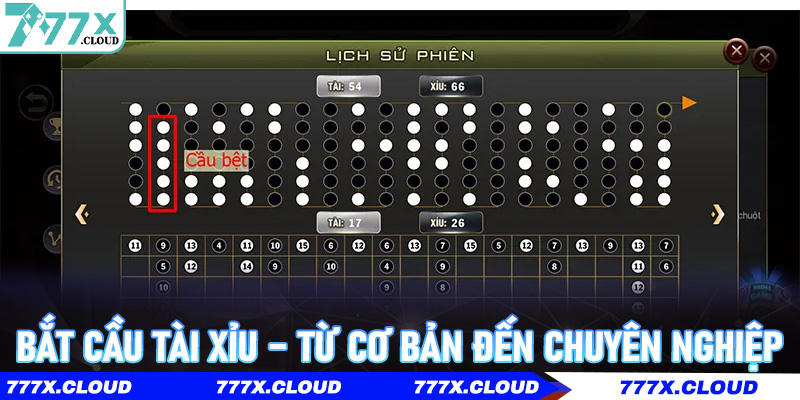 Bắt cầu tài xỉu – Từ cơ bản đến chuyên nghiệp