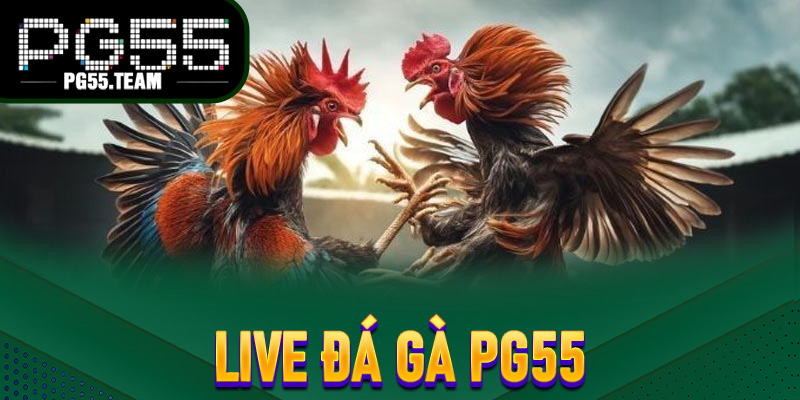 Live đá gà pg55